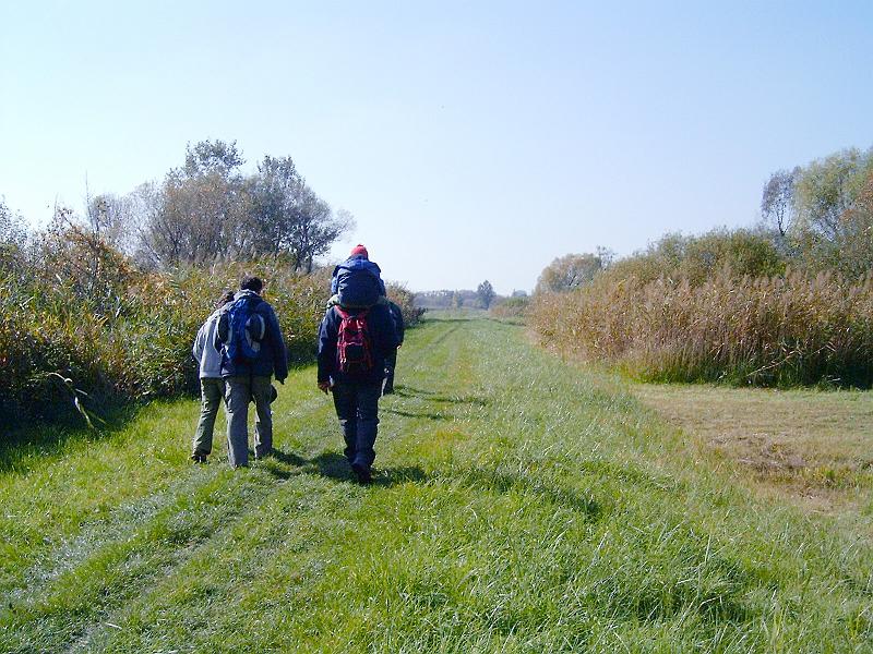 2010.10.09. 090.jpg